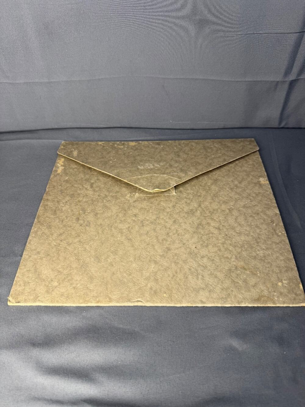 Antique 1900s Wedding Photo 8x11" Excellent Condition Large Group